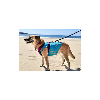 Capas Perro Con Filtro Solar Upf 50