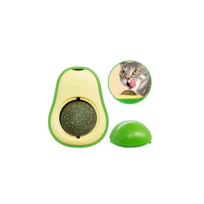 Palta Hierba Gatera Cat Nip