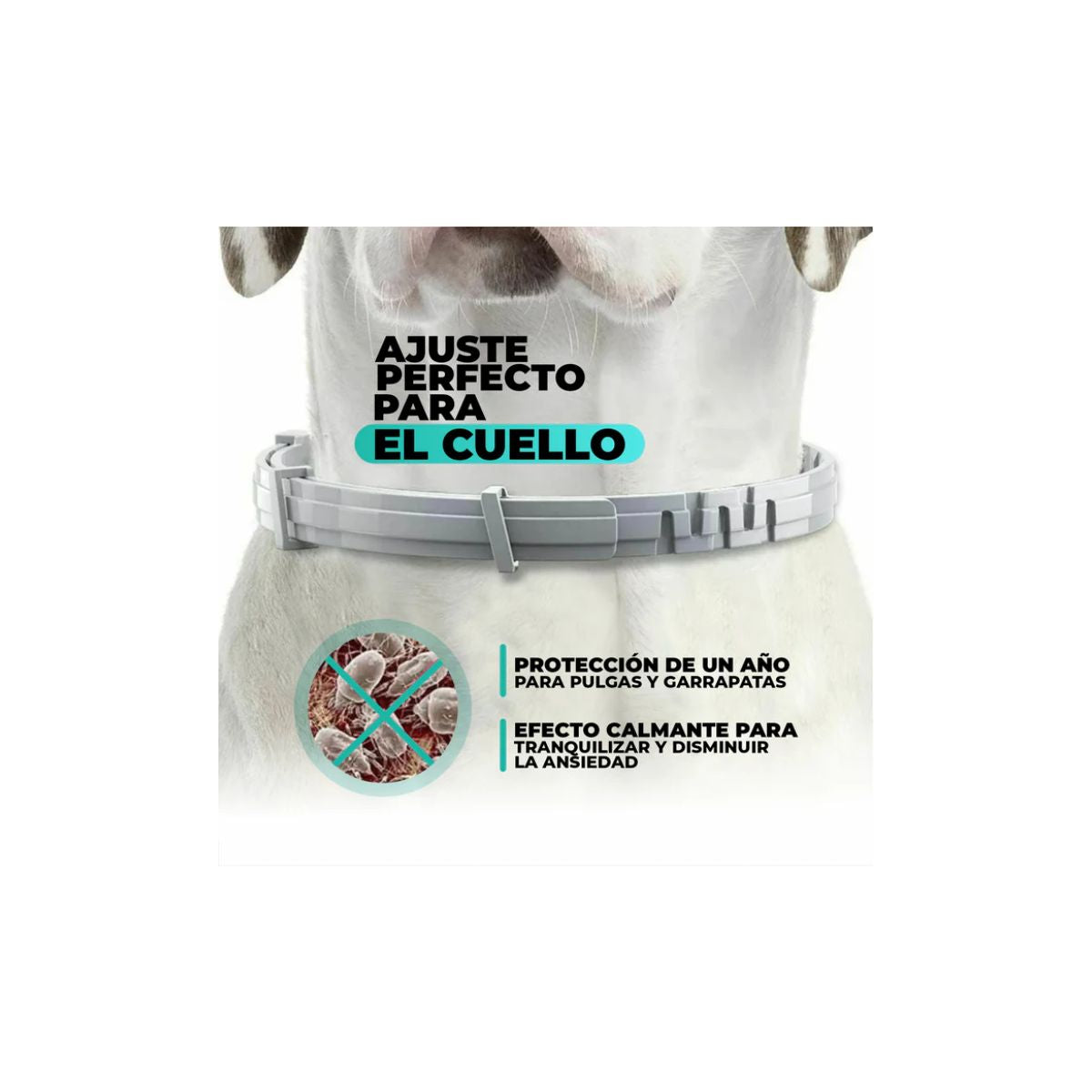 Collar Para Mascotas Antiparasitario